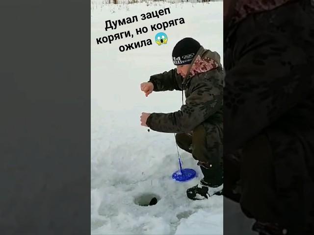 Трофейная щука. Живая коряга на рыбалке #fishing #shorts