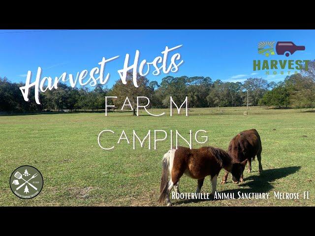 Harvest Hosts Farm Camping | Rooterville Animal Sanctuary Melrose, FL