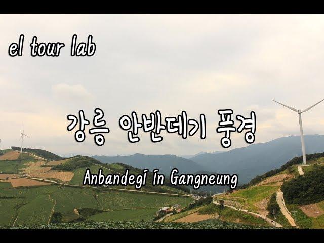 강릉여행 안반데기 풍경! 해발1100미터의 작은 마을, 고랭지밭, 대관령 (Anbandegi in Gangneung) - by 여행이