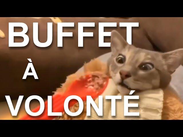 BUFFET À VOLONTÉ