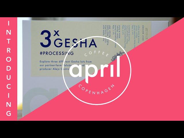 F.C.J Volcan Azul 3x Gesha #Processing - Limited Box with Alejo Castro | Coffee with April #189