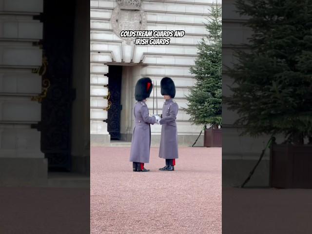 #changingoftheguard #coldstreamguards #irishguards #kingsguard #buckinghampalace #london #londonlife