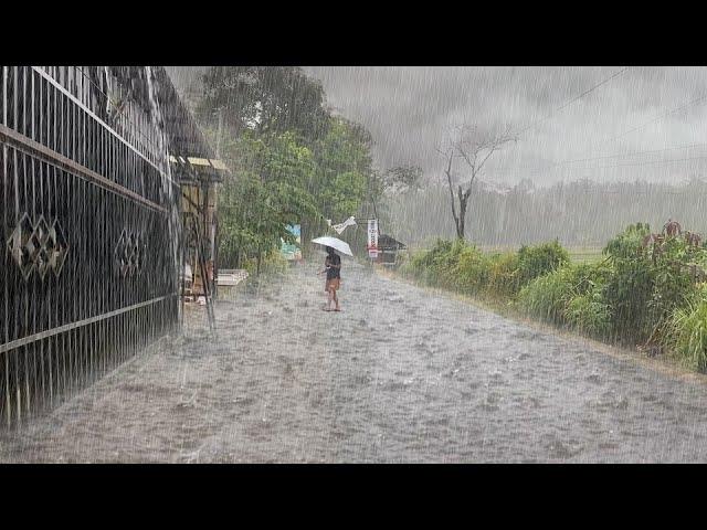 Heavy Rain and Soothing Thunder Sounds in the Village | Rain Sounds for Relaxation, Sleep Better