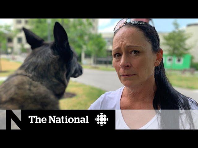 Police officer discovers her psychologist wasn't who he said he was