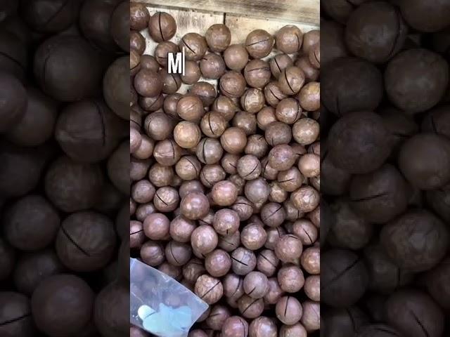 Продукты, богатые витаминами и микроэлементами! - Жить ЗдорОво #здоровье