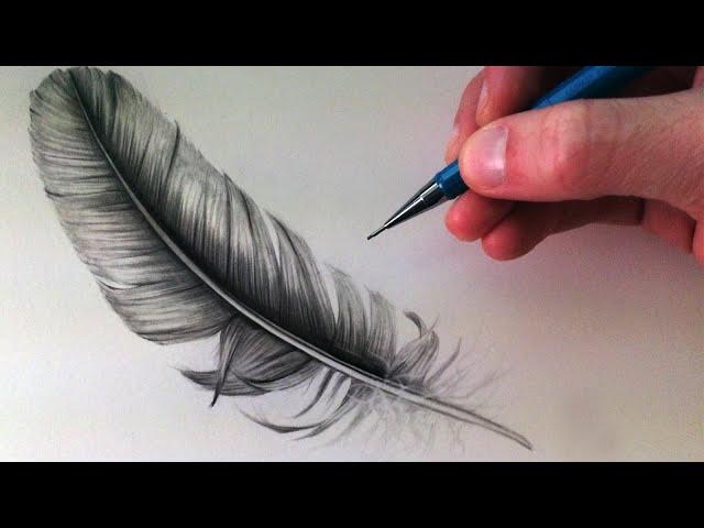 How to Draw a Feather