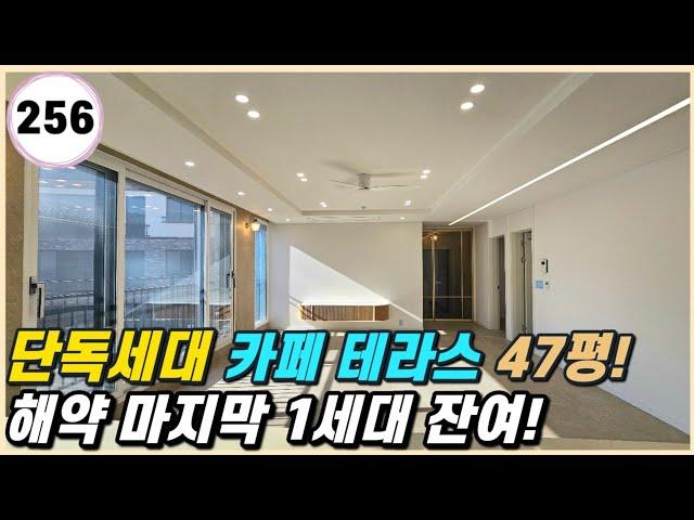 일산 덕이동｜카페테라스가 있는 단독세대 47평형 해약되어 딱 1세대 나왔습니다~  [고양시 256번]