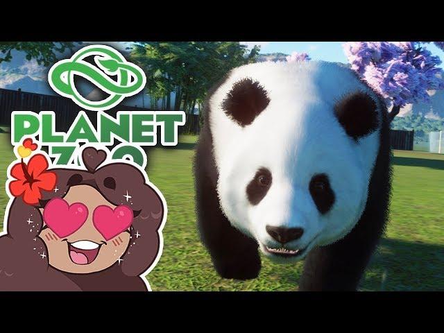 Beginning with AN ESCAPED PANDA?!  Daily Planet Zoo! • Day 1