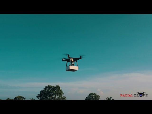 Radial Drone | Phantom 4 Pro | Drone Gimmick | Delivery Task