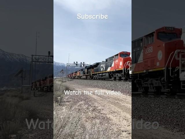 8 UNIT POWER MOVE CSX, CN, CP, BNSF!  4 Remarkable Short Trains at STUNNING HILL 582! Cajon Pass, Ca