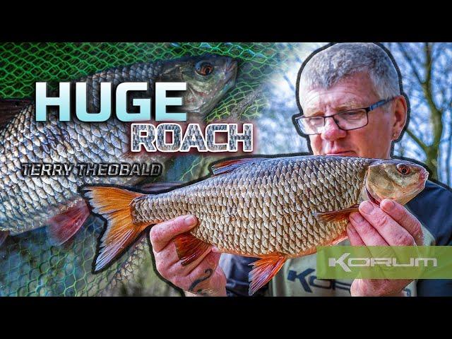 HUGE ROACH - Terry Theobald