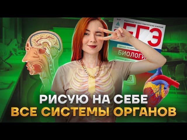 Анатомия: рисую на себе все системы органов| Биология ЕГЭ | Умскул