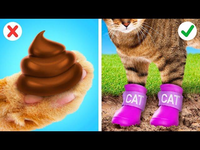 RICH VS POOR PET GADGETS || Hacks for Pet Owners by 123 GO! UNIVERSE