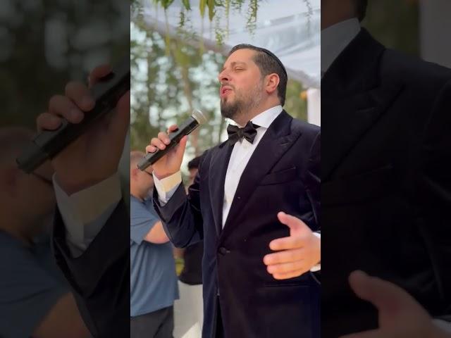 משה דוויק - בראשית עולם | חופה מהממת ביער