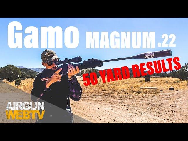 50 YARD SILHOUETTE - with the Gamo Magnum Swarm 10X Gen 2 in .22 With H&N Baracuda Hunters