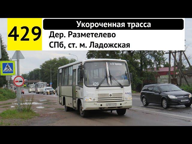 Автобус 429 "Дер. Разметелево - СПб, ст. м. "Ладожская" (укороченная трасса)