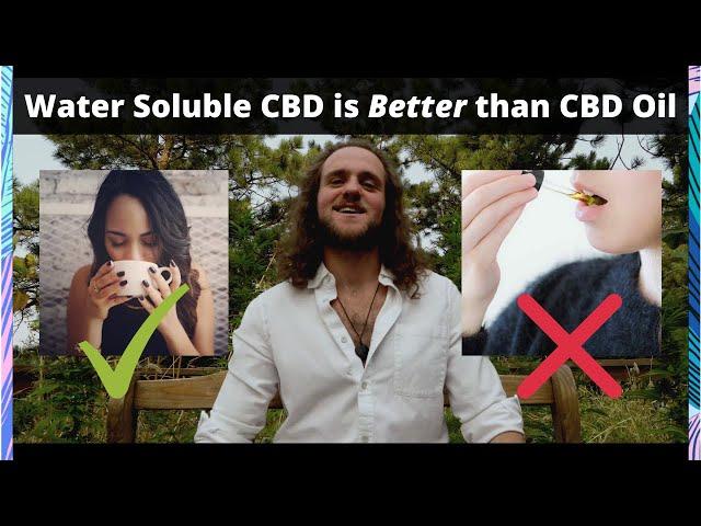 4 Reasons Why Water Soluble CBD is Better than CBD Oil