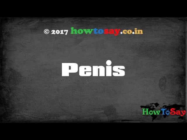 how to pronounce penis