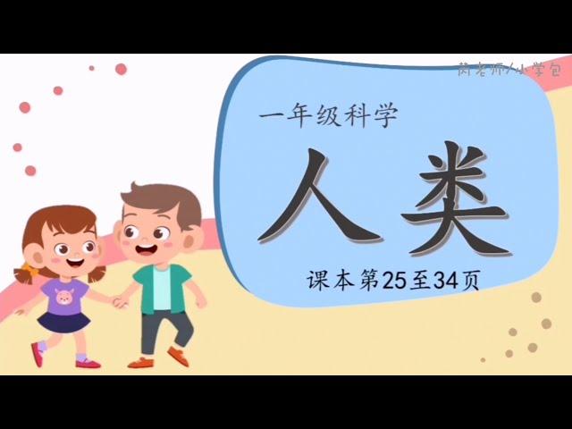 一年级科学《人类》