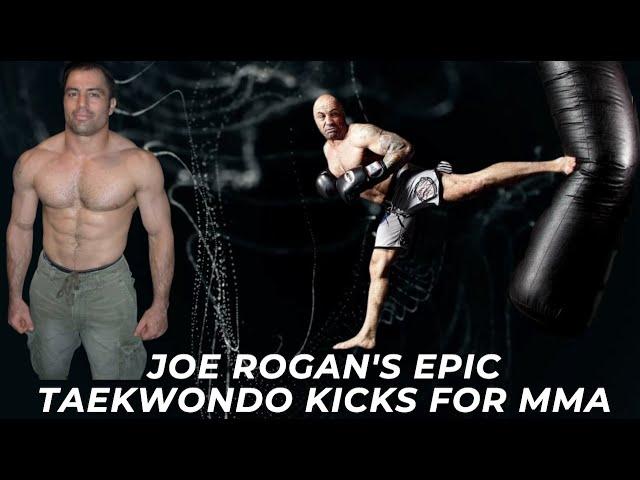 Joe Rogan's Taekwondo Kicks in MMA Fights