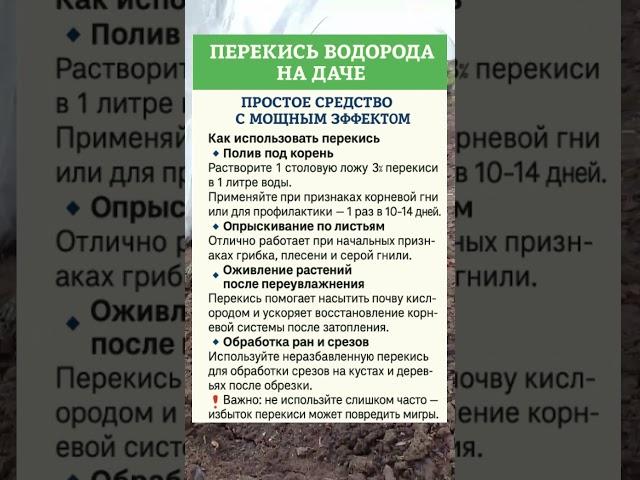 ПЕРЕКИСЬ ВОДОРОДА НА ДАЧЕ  ЭФФЕКТИВНО И ПРОСТО 