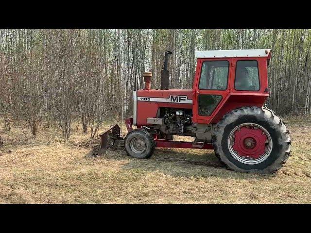 Massey 1105 Pulling Out Trees For A Garden