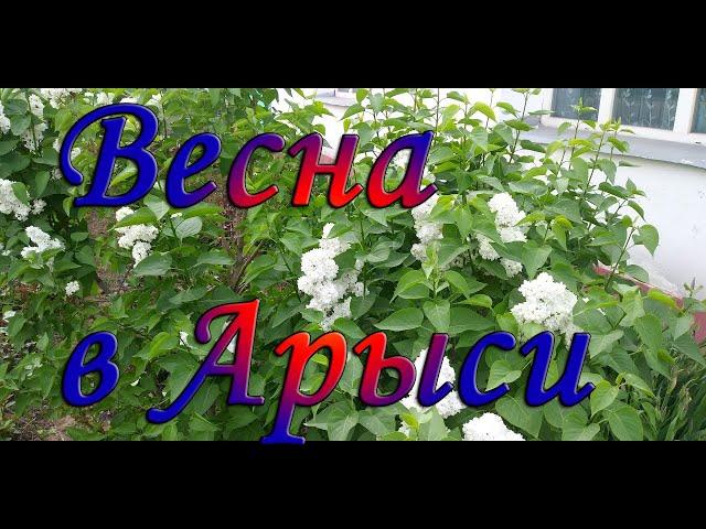 Весна в Арыси .