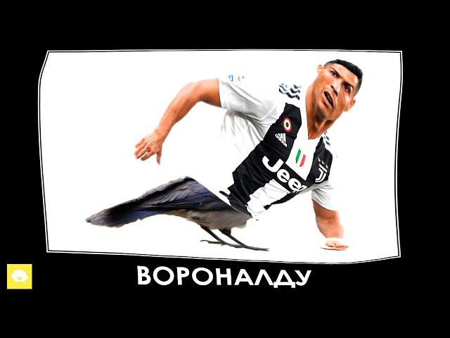 Птицы + ШИЗА =
