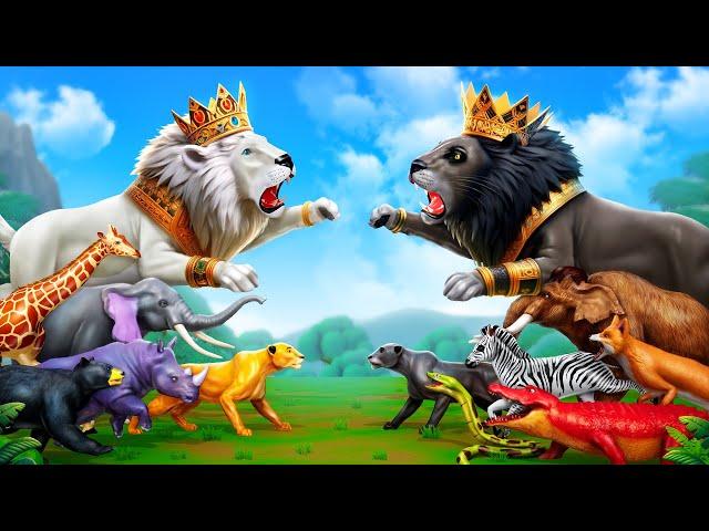 Clash of Kings: Black Lion vs White  Battle for the Animal Kingdom | 3D Animals Cartoon 2024