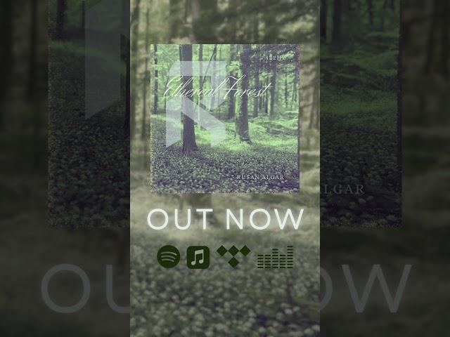  Ethereal Forest – your new 432Hz #LoFi escape is here!  Click the link & vibe out! #ChillMusic
