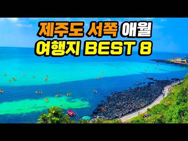 제주도 서쪽 애월 하루 여행 코스 가볼만한곳 Best 8 | 제주 맛집 카페 여행지 추천 | 돌고래스팟 아르떼뮤지엄 새별오름 곽지 한담해안산책로 나홀로나무