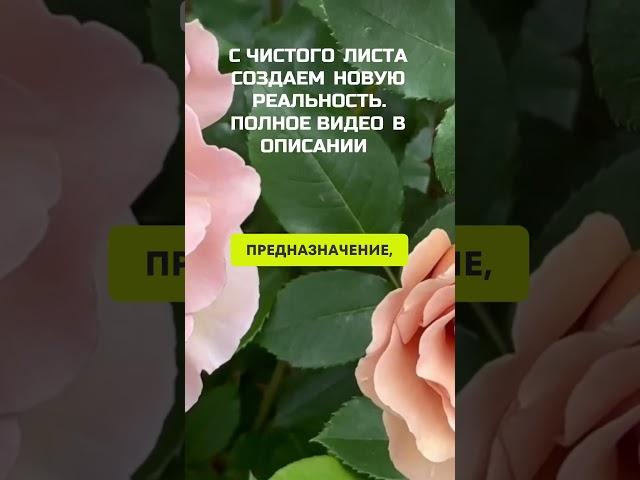 МОЯ МИССИЯ