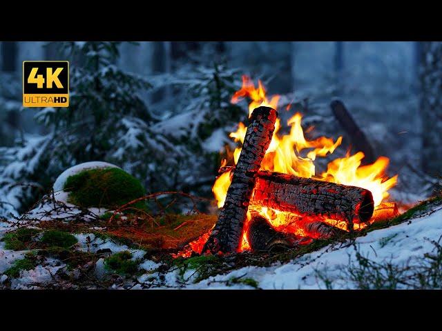 4K Campfire in a Snowy Forest ️ 100% Authentic Sounds  X-Mas