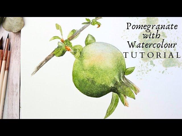 Pomegranate - Watercolour Painting