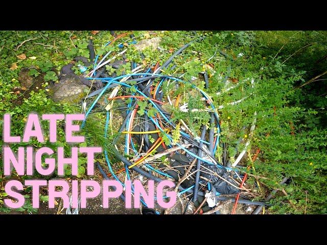 The Aftermath  |  Litter picking ep.120