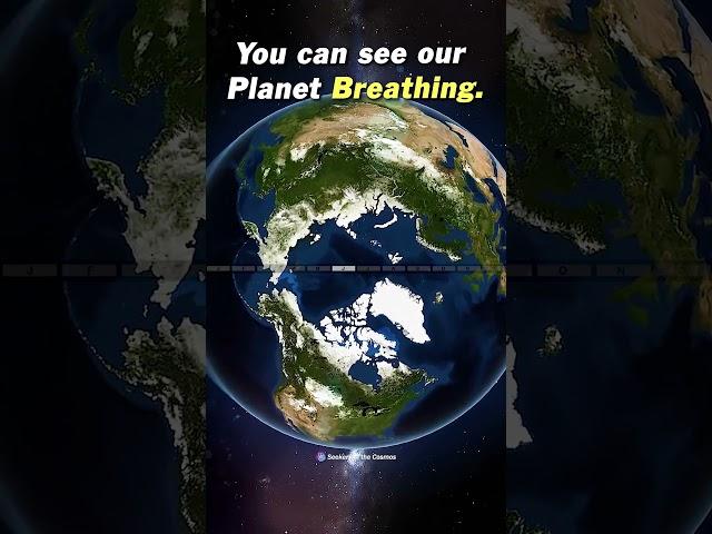 Breathing Earth - Earth's Seasons Time Lapse From Space