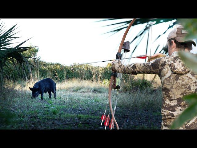 UP CLOSE Ground Hunting Hogs - Recurves and Self BOWS!