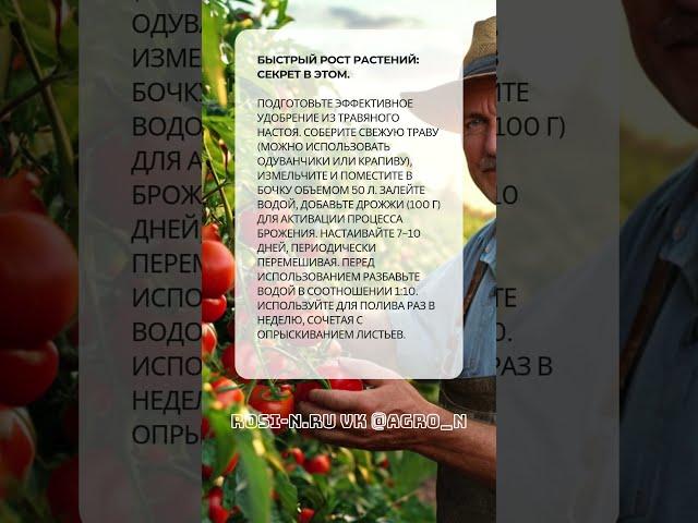 Найден секрет быстрого роста растений