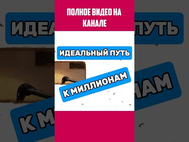 Идеальный путь к миллионам миллиардам #мебельныйбизнес #бизнесснуля #бизнес