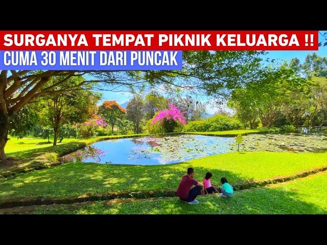 KEBUN RAYA CIBODAS TERBARU 2024‼️ SURGANYA TEMPAT PIKNIK UNTUK KELUARGA | WISATA HITS PUNCAK CIANJUR