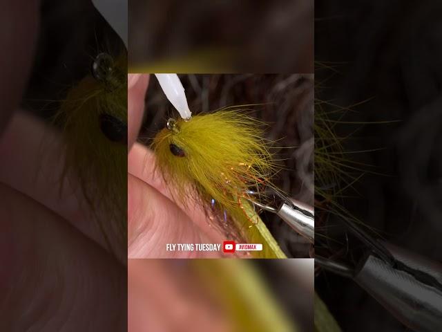 Suckers Prayer | AvidMax Fly Tying Tuesday Shorts