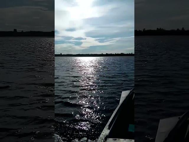 К воде за жизненными силами. Река Пинега. 19 сентября 2023 года