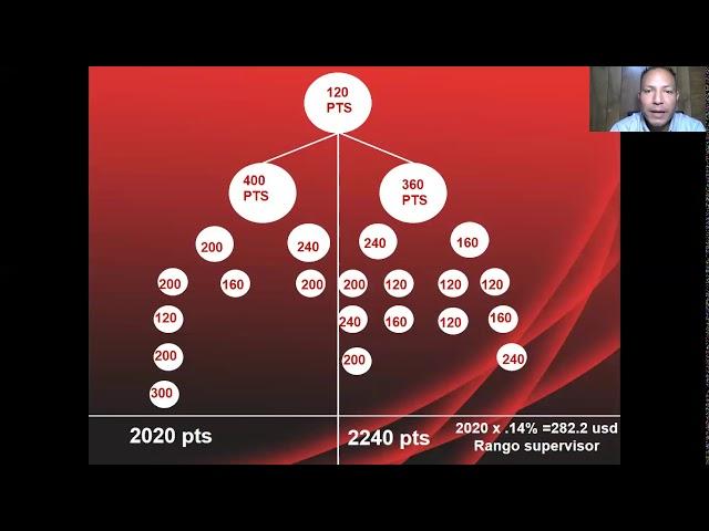 COMO NOS PAGA VIDA DIVINA 4) BINARIO HÍBRIDO PROGRESIVO