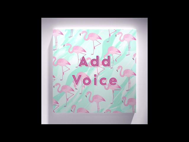 Add Voice/Audio in Keynote