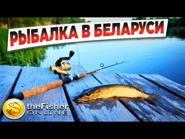 Fisher Online - ночная рыбалка в Беларуси  