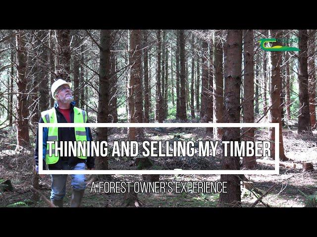 Thinning and selling my timber - a forest owner's experience