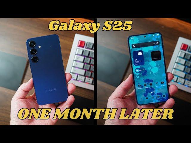 Samsung Galaxy S25 One Month Later: 85% of What The S25 Ultra Has To Offer!