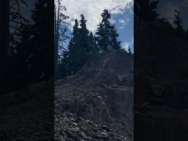 Gnarliest Feature In Whistler Bike Park