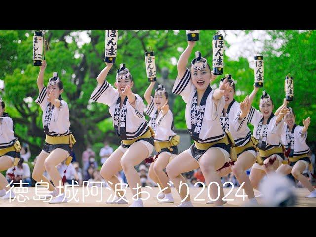 Tokushima Castle Awaodori 2024 | Honma-ren, Ukiyo-ren, Aoi-ren, Awaougi and more!