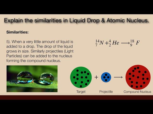 Explain the similarities in Liquid Drop & Atomic Nucleus | Explain Liquid Drop Model.